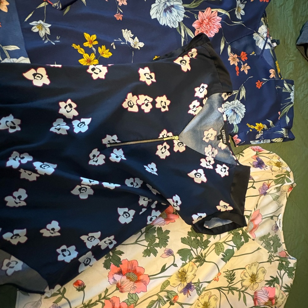 Express Blue and Pink Floral Dress